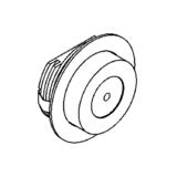CESAR X
