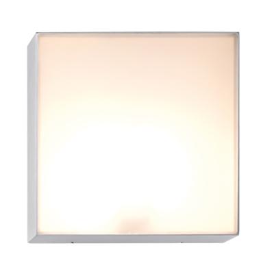 CANVAS B