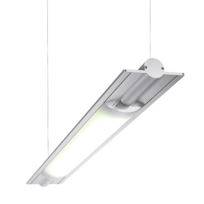 BUTTERFLY LED